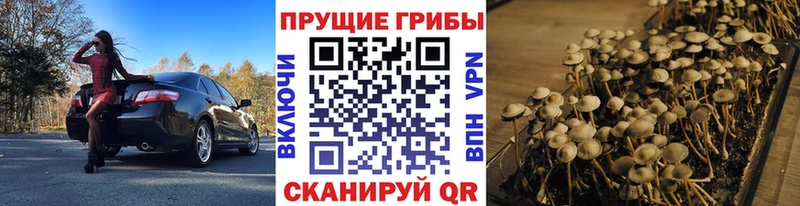 Псилоцибиновые грибы MAGIC MUSHROOMS Междуреченск