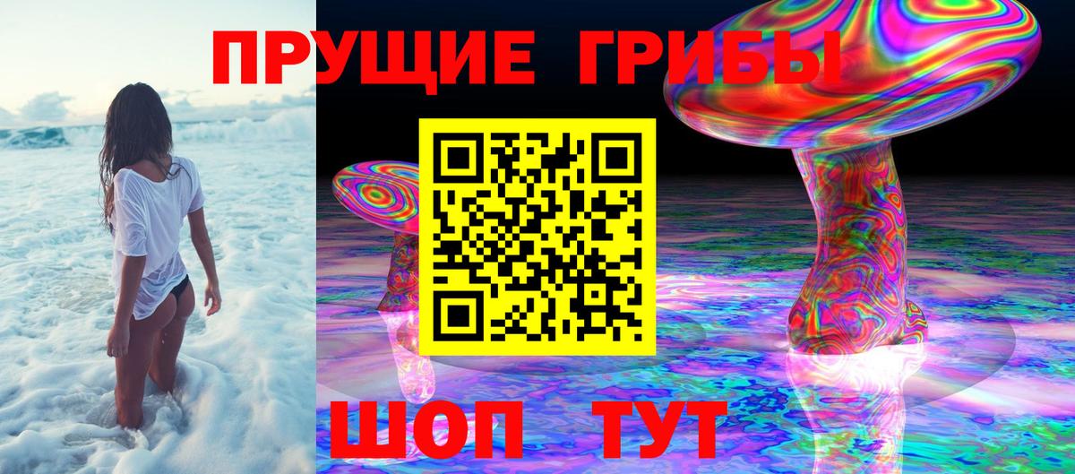 Псилоцибиновые грибы GOLDEN TEACHER Междуреченск