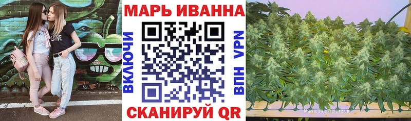 Марихуана White Widow Междуреченск