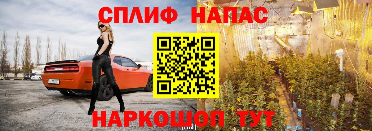 Канабис White Widow Междуреченск